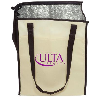 eco friendly insulated grocery bag