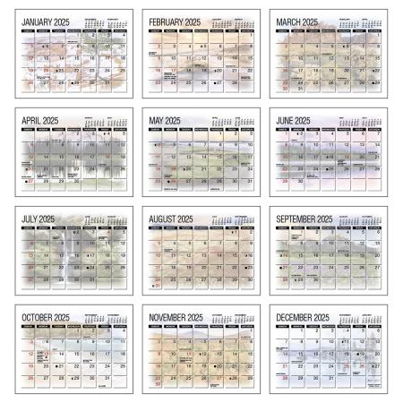 America's Beauty Desk Calendars 3